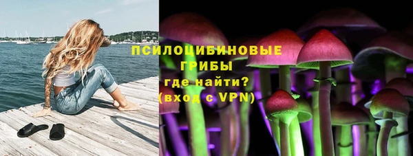гидропоника Арсеньев