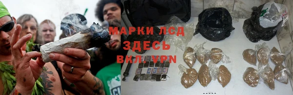 первитин Дмитров