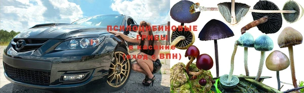 гидропоника Арсеньев