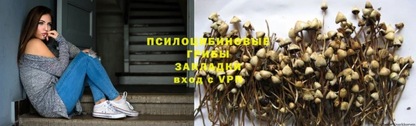 молекула духа Армянск